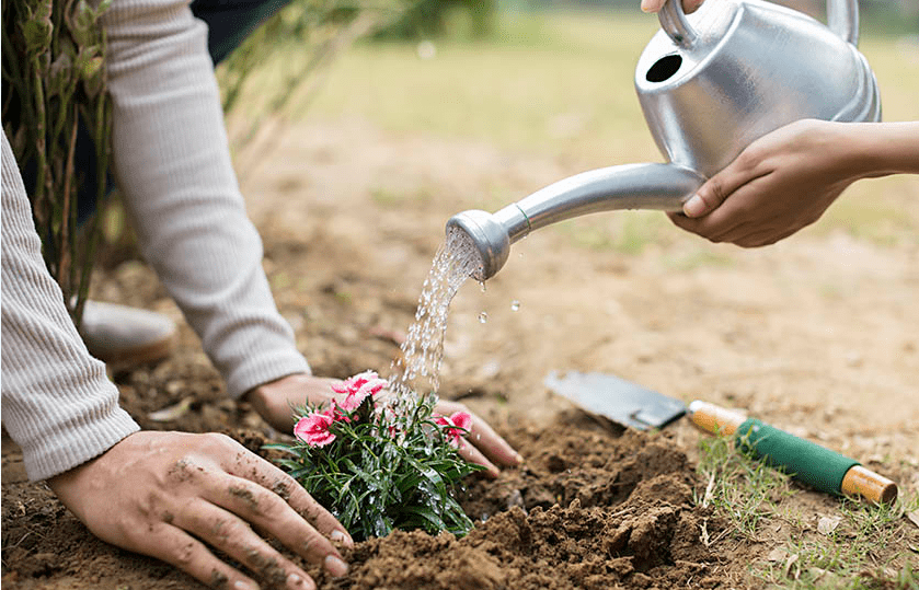 we provide best quality Gardener Supply service in Dhaka