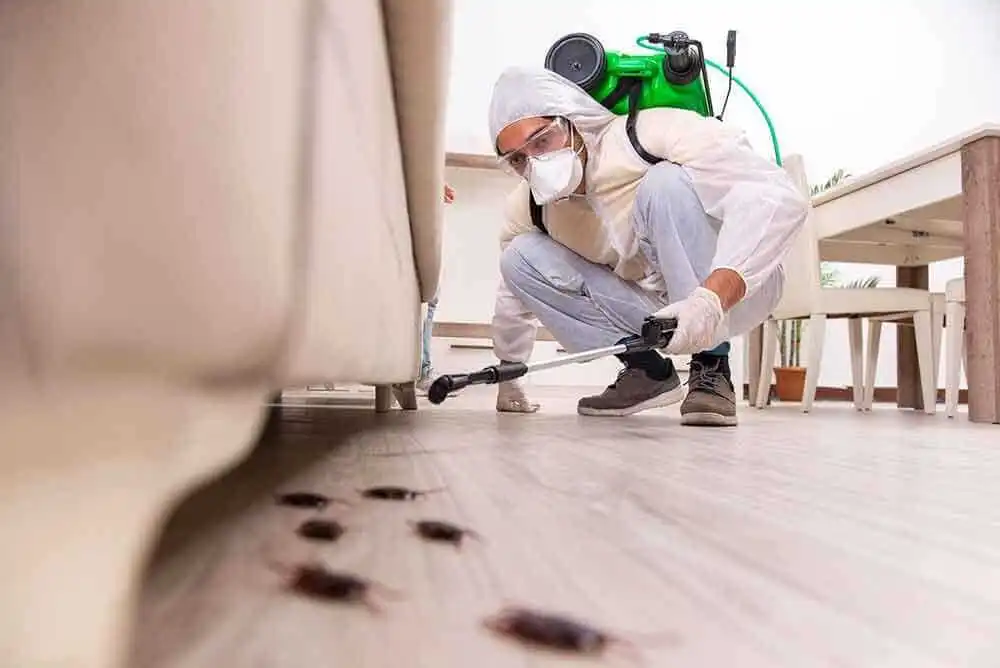 04. Pest Control Service
