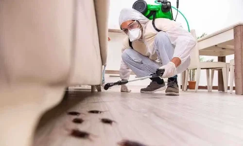 04. Pest Control Service