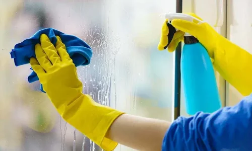 11. Indoor outdoor Glass cleaning