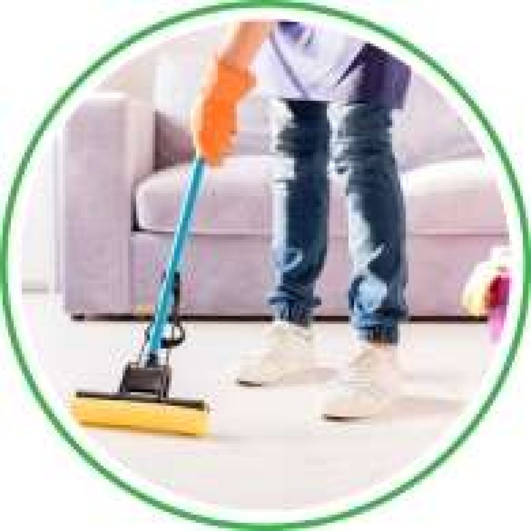 sofa carpet cleaning service